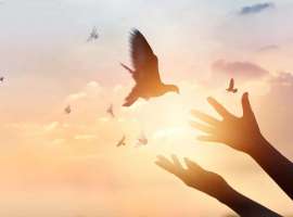 塔拉妥单抗获批！小细胞肺癌治疗迎来质的飞跃