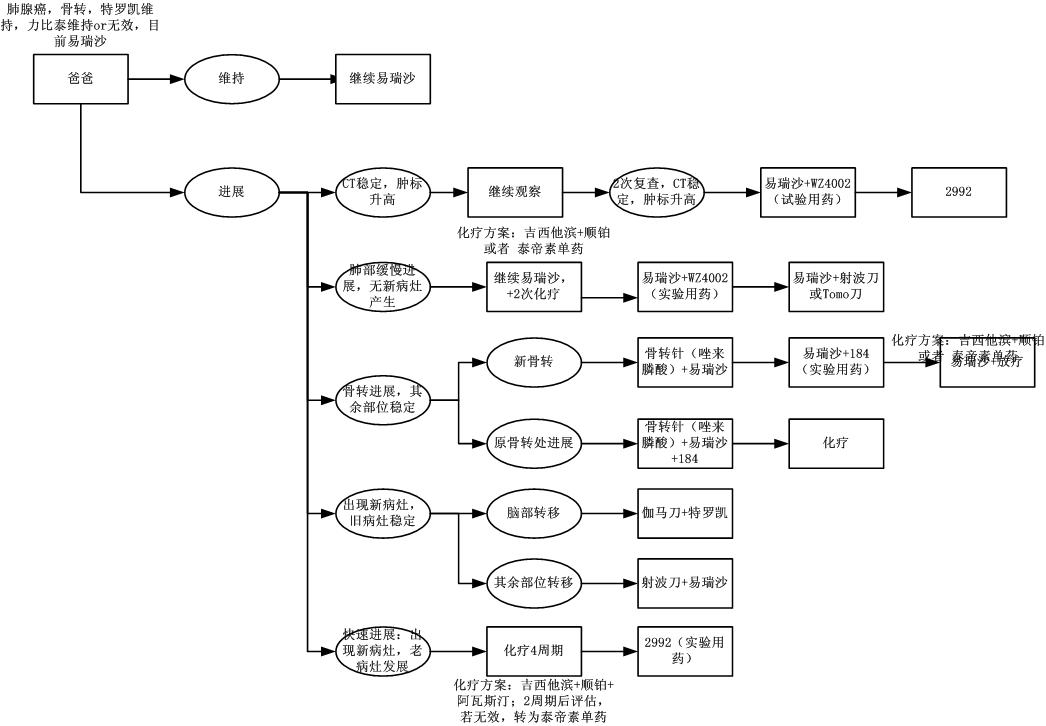 治疗方案计划