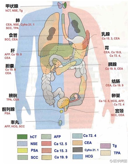 肿瘤标志物