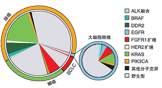 靶点图.jpg