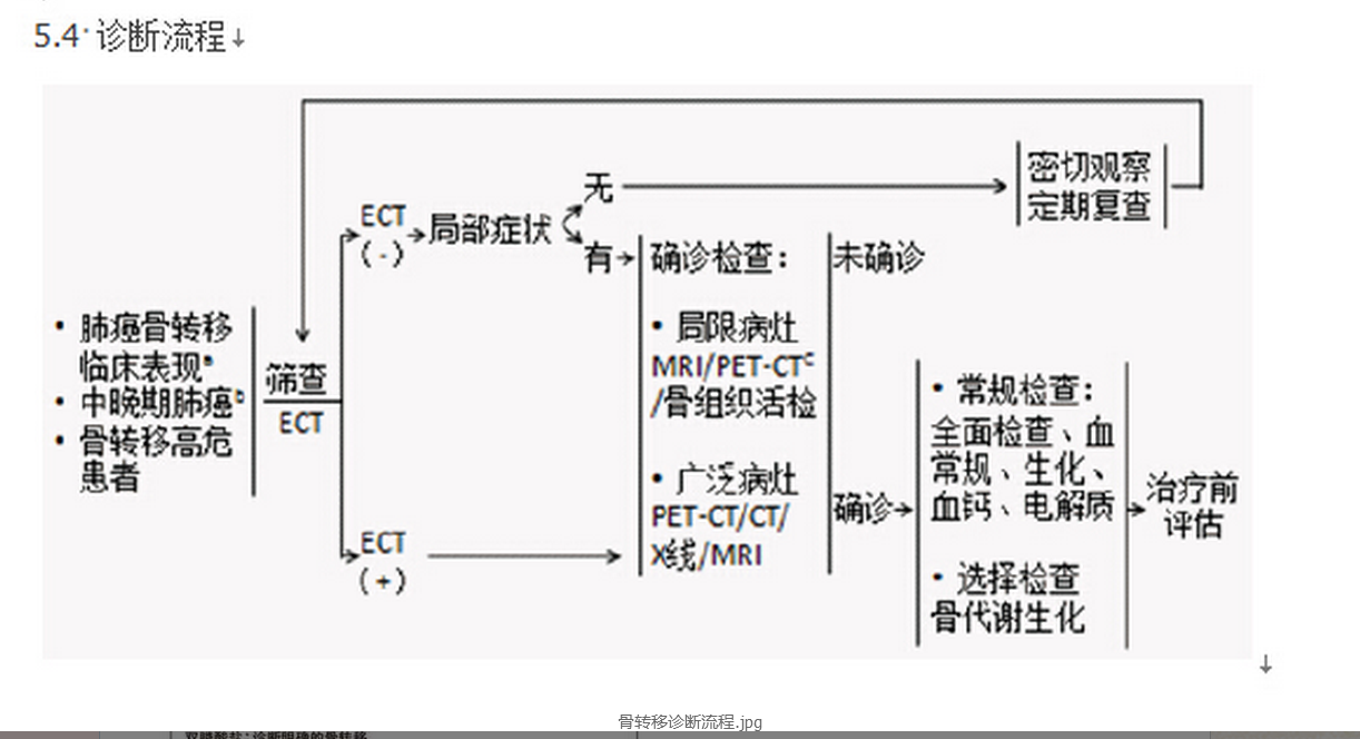 骨转移诊断流程.PNG