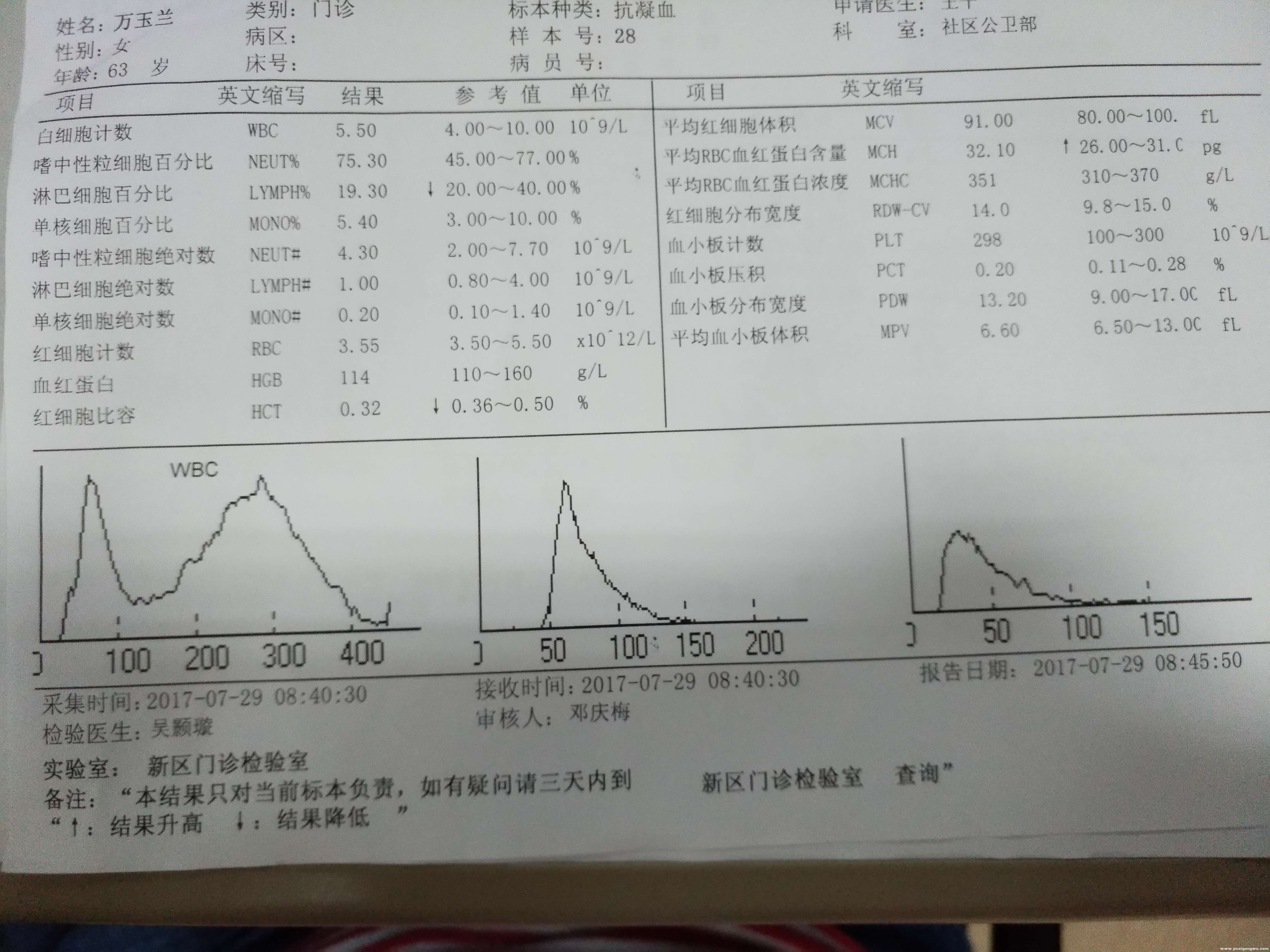 血常规