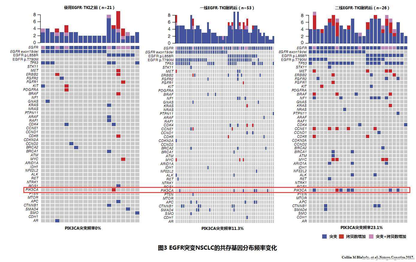 NSCLC的PIK3CA突变3.jpg