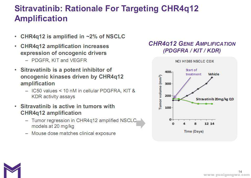 Sitravatinib6.jpg