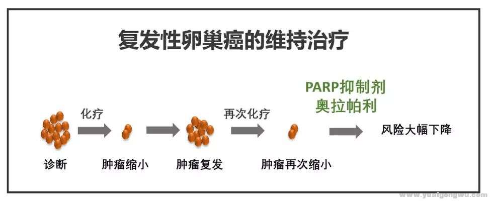 奥拉帕尼的主要适应症