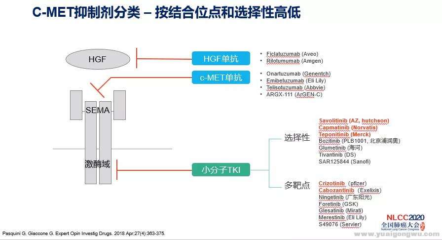 微信图片_20200620203707.jpg